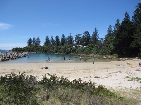 Bruce Steer Pool - Queensland Tourism 1