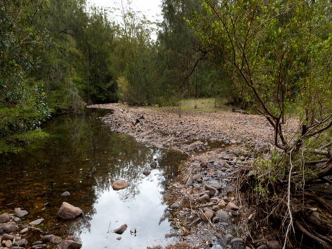 Budawang National Park - QLD Tourism 0