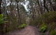 Budawang National Park - thumb 1