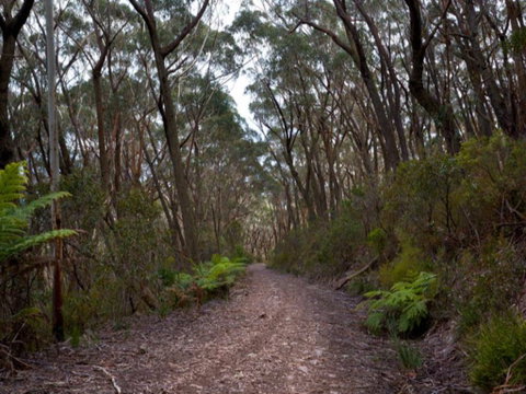 Budawang National Park - QLD Tourism 1