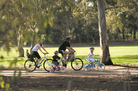 Coast To Vines Rail Trail - Queensland Tourism 1
