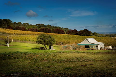 Coast To Vines Rail Trail - Queensland Tourism 2