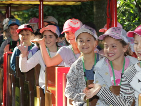 Currumbin Wildlife Sanctuary - QLD Tourism 1