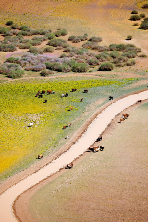 Cuttaburra Crossing - QLD Tourism 1