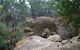 Dergholm State Park - thumb 0