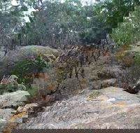 Dergholm State Park - QLD Tourism