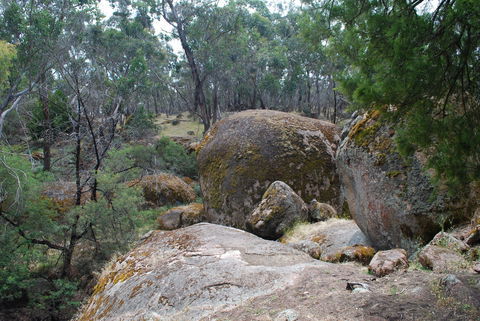 Dergholm State Park - QLD Tourism 0