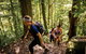 Devils Thumb (Manjal Jimalji) Trail - thumb 0
