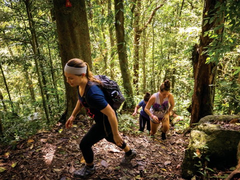 Devils Thumb (Manjal Jimalji) Trail - QLD Tourism 0