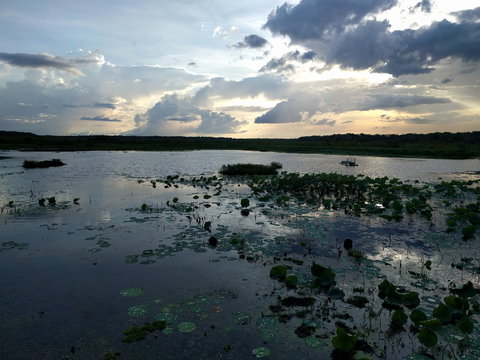 Fogg Dam Conservation Reserve - QLD Tourism 1