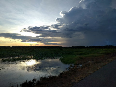 Fogg Dam Conservation Reserve - QLD Tourism 2