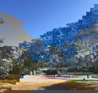 Grenfell Endemic Garden - Queensland Tourism