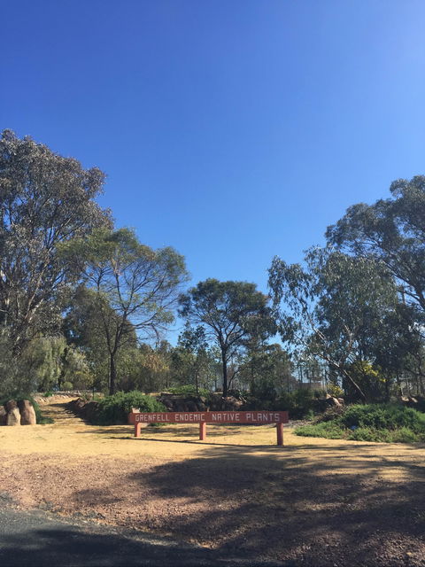 Grenfell Endemic Garden - QLD Tourism 0