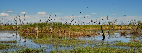 Gwydir Wetlands Moree - Queensland Tourism 1