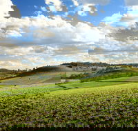 Hodgson Vale - QLD Tourism