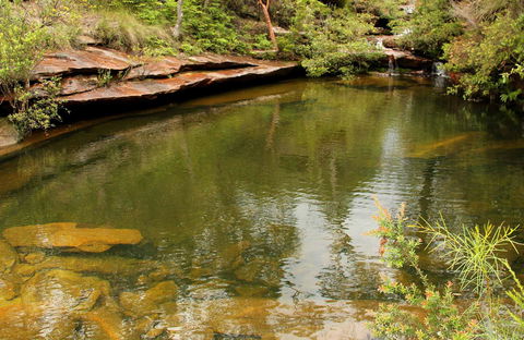 Hominy Creek Walking Track - QLD Tourism 0