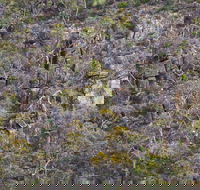 Horsnell Gully and Giles Conservation Parks - Queensland Tourism