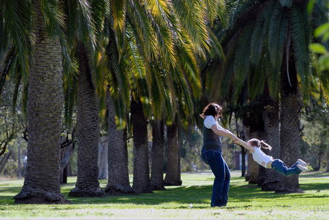 Jellicoe Park - Queensland Tourism 0