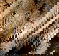 Jillabenan Cave - QLD Tourism