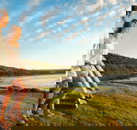 Killalea Reserve - QLD Tourism