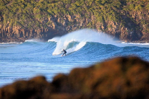 Killalea Reserve - QLD Tourism 1