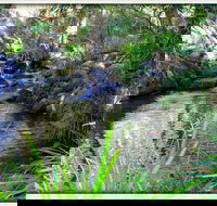 Kin Kin - QLD Tourism