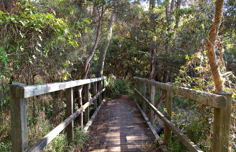 Lake Macquarie State Conservation Area - Queensland Tourism 1