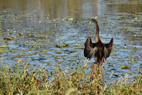 Lake Apex Park - QLD Tourism 0