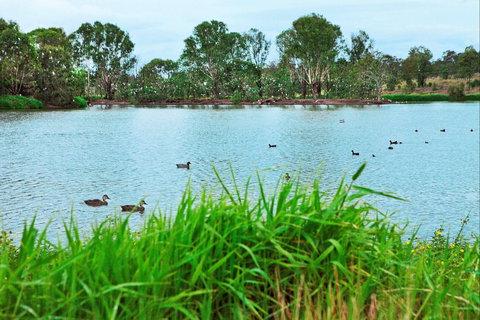 Lake Apex Park - QLD Tourism 1