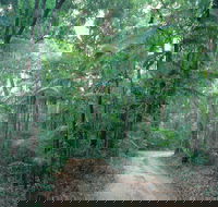 Lawn Hill - Queensland Tourism