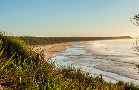 Narrawallee Creek Nature Reserve - Queensland Tourism 0