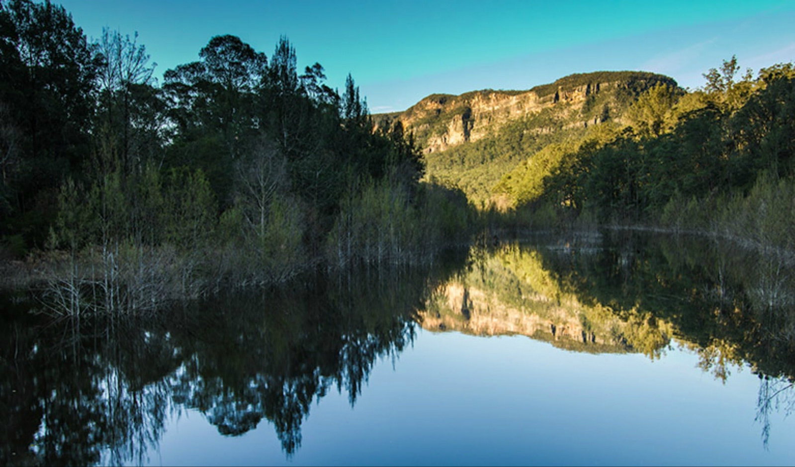 Wattle Ridge NSW QLD Tourism