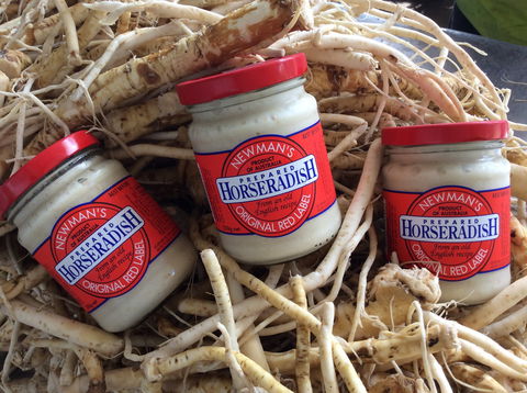 Newman's Horseradish Farm And Rusticana Wines - Queensland Tourism 0