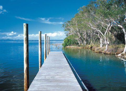 Noosa Everglades - QLD Tourism 1