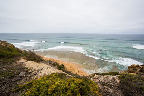 Ocean Grove Main Beach - QLD Tourism 1