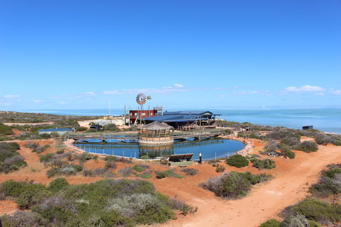 Ocean Park Aquarium - Queensland Tourism 1