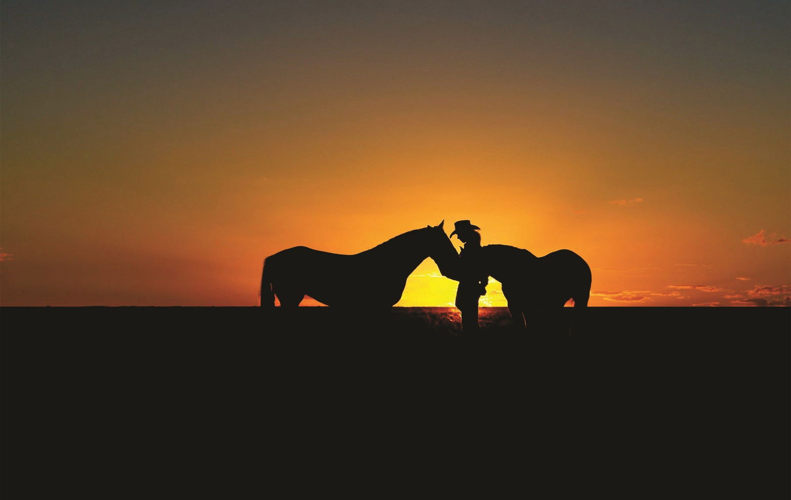 Queensland Tourism