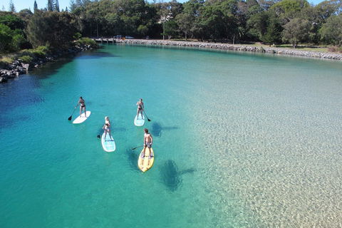 Paddleboard At Back Creek South West Rocks - QLD Tourism 0