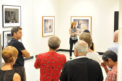 Pine Rivers Art Gallery - QLD Tourism 1