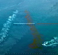 Port Noarlunga Reef Sanctuary Zone - Encounter Marine Park - Queensland Tourism