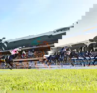 Rosehill Gardens Racecourse - QLD Tourism