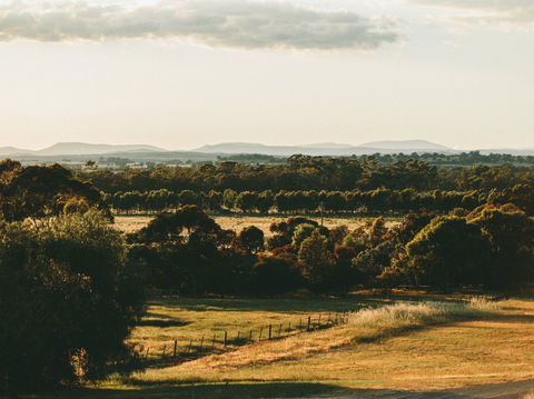 Rutherglen Wine Bottle - QLD Tourism 2