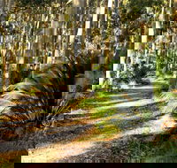 Square Head Track 2 - QLD Tourism
