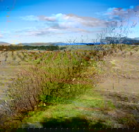 Tarago Truffles - QLD Tourism