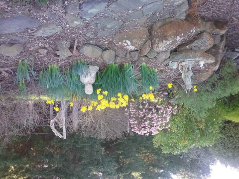 The Quiet Cone - Sound & Relaxation Centre - QLD Tourism 2