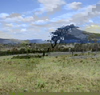 Thornton - QLD Tourism