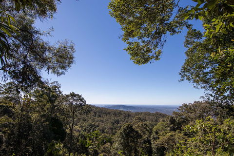 Thylogale Track - QLD Tourism 2