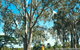 TYTO Wetlands - thumb 1