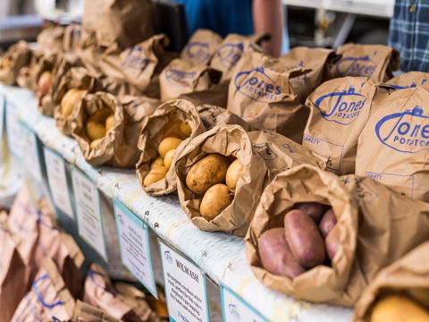 Warragul Farmers Market - QLD Tourism 2