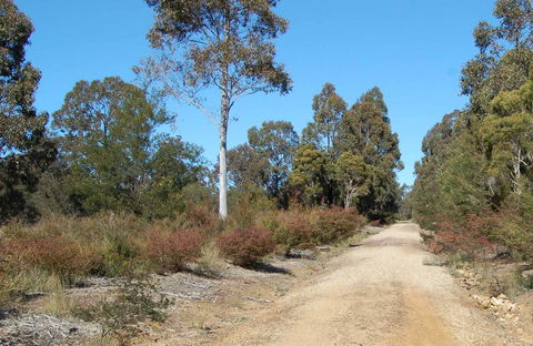 Werakata National Park - QLD Tourism 0